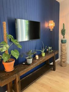 - une télévision sur un mur bleu avec des plantes en pot sur une table dans l'établissement *•*•Nouveau*•*• Chez Mirabelle, à Belleville-sur-Meuse