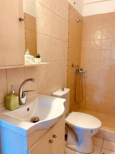 a bathroom with a sink and a toilet and a shower at Sofi's Home Project in Sitia