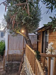 un arbre poussant à travers une clôture à côté d'une maison dans l'établissement maison du olival, 