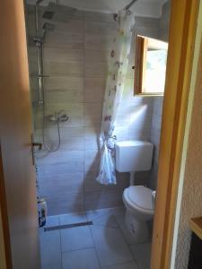 a bathroom with a shower with a toilet and a sink at Pure Nature in Bihać