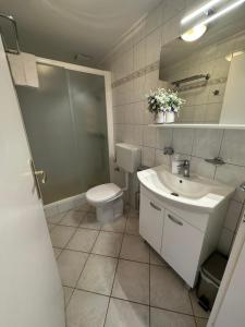 ein Bad mit einem WC, einem Waschbecken und einer Dusche in der Unterkunft Apartments Marija in Lastovo