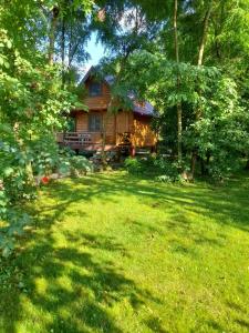 a log cabin in the middle of a yard at Pure Nature in Bihać