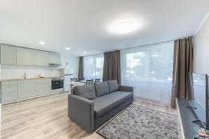 a living room with a couch and a kitchen at Stiklo Apartamentai in Radviliškis