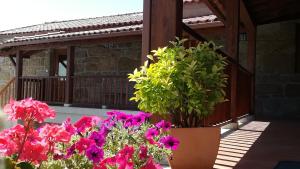 a group of flowers sitting on a porch at Antiga Casa do Forno in Vidago