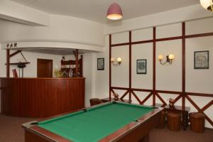 Una mesa de billar en Hotel Premier