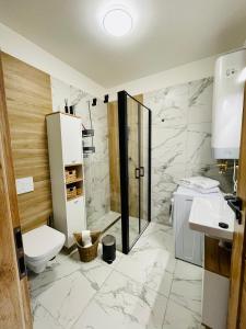 a bathroom with a shower and a toilet and a sink at Rodinný apartmán v Karlovicích in Karlovice