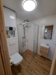uma casa de banho com um chuveiro, um WC e um lavatório. em Macskajaj vendégház em Mecseknádasd