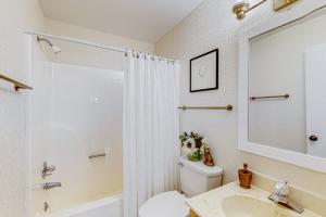 a bathroom with a toilet and a sink and a mirror at Cozy Mountain Nest in Sugar Mountain +13 photos