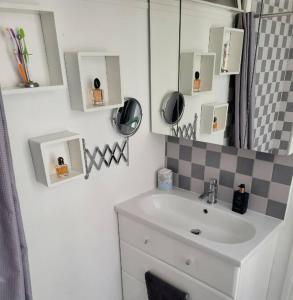 uma casa de banho com um lavatório e um espelho em Appartement entier - Paris 12 em Paris