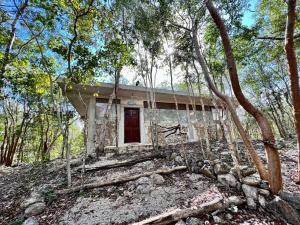 Budova, kde se bed and breakfast nachází + 48 fotografií