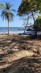 una playa con una palmera y el océano en Mi casita en Montezuma