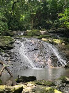 a waterfall in the middle of a river at Mi casita in Montezuma