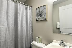 a bathroom with a toilet and a shower curtain at Historic King James Unit 10 in Asheville