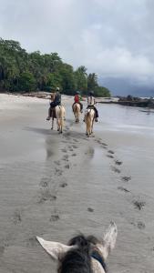 a group of people riding horses on the beach at Mi casita in Montezuma