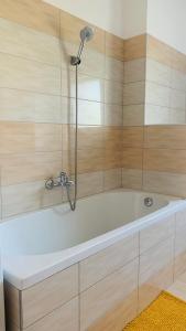 a bath tub with a shower in a bathroom at Classy Villány in Villány +14 photos
