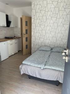 ein Schlafzimmer mit einem Bett und einer Küche darin in der Unterkunft Studio Bea - Wschodnia- Włókiennicza obok Piotrkowskiej in Łódź