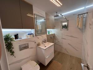 a bathroom with a toilet and a sink and a shower at Luxury Apartment Centrul Vechi in Curtea de Argeş