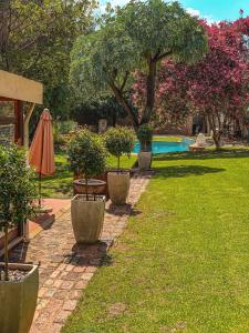 a garden with a table and umbrellas and a pool at Horse's Neck Guest Lodge in Johannesburg
