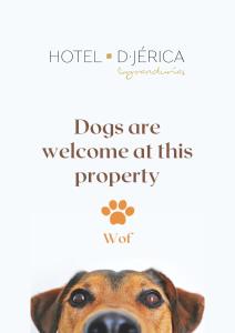 Afbeelding uit fotogalerij van Hotel De Jerica in Jérica