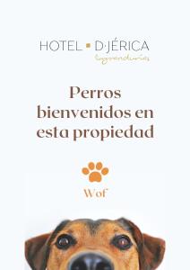 Afbeelding uit fotogalerij van Hotel De Jerica in Jérica