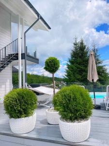 three white pots with trees and an umbrella on a patio at be be Chalet - premium jacuzi & private pool in Bukovel
