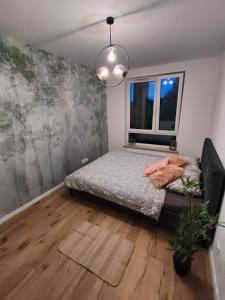 een slaapkamer met een bed en een raam bij Apartament Leśna Mandala in Augustów
