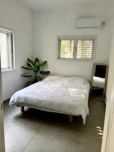 Big apt near sea heart of tlv 2 bdr salon max 8pax