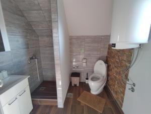 a small bathroom with a toilet and a shower at Marković Apartments (vidikovac) in Donji Milanovac