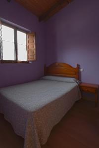 um quarto com uma cama e uma janela em Apartamentos El Campal em Felechosa