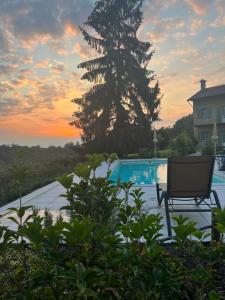 a swimming pool with a chair and a tree at Sangrato 1883 in Monteu Roero