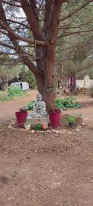 a statue in front of a tree with flower pots at Mobilhomes vintage dans ecolieux en cours camping a la ferme in Ponteilla