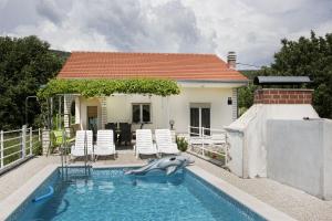 ein Delfinspielzeug in einem Pool in einem Haus in der Unterkunft House Stjepan in Krušvar