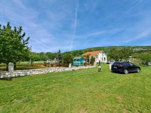 un enfant debout dans un champ à côté d'une voiture dans l'établissement House Stjepan, à Krušvar