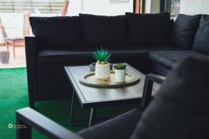 Afbeelding uit fotogalerij van Pensiunea Willy Silvas in Tăşnad