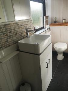 een badkamer met een wastafel en een toilet bij Y Cuddfan Gower in Swansea
