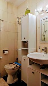 a bathroom with a toilet and a sink at ZAUBERFROSCH - ankommen und Zuhause fühlen - Apart-VL in Bad Liebenzell