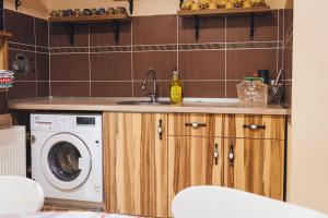 Η κουζίνα ή μικρή κουζίνα στο Pensiunea Willy Silvas