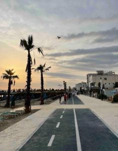 a bird is flying over a street with palm trees at Aquamarine Dreams Apartments in Beach of Durres 150 m from Sea in Durrës