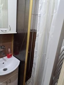 uma casa de banho com uma cortina de chuveiro e um lavatório em Apartman Merak em Sokobanja