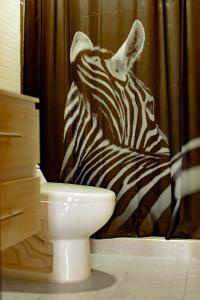 Una cebra parada en una cortina de ducha junto a un inodoro en Casa Africa, en Calima