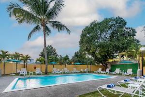 une piscine avec des chaises longues et un palmier dans l'établissement City Express by Marriott Tuxpan, à Tuxpan