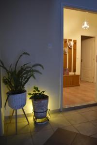 two potted plants sitting on a stand in a hallway at ΆLthea Apartment in Chalkida