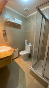 a bathroom with a toilet and a sink and a shower at Hotel Costanera - Caja Los Andes in Valdivia