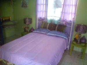 BUCKINGHAM VILLA -SUITES FULL KITCHEN-Rooms Variety في Buff Bay: غرفة نوم بسرير كبير في غرفة خضراء