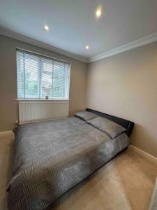 a bedroom with a large bed and a window at Charming 1-Bedroom Retreat for up to 4 Guests in Windsor