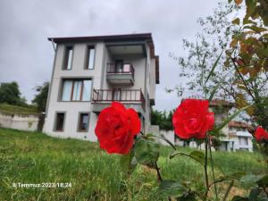 twee rode bloemen voor een gebouw bij Manzaralı Villa Bolu Sefa Konakları Kaçkar Dağ Evleri 3 room Villa for Rent فيلا ايجار منظر جميل in Yenicefelekettin