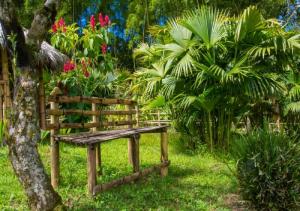 Jardí fora de Secretos del Eden