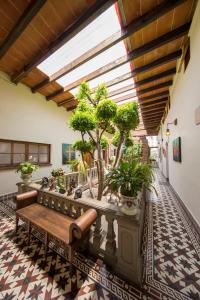 a living room with a bench and potted plants at Meztli: Casa Boutique & Spa in Mexico City