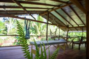 eine Pflanze vor einer Veranda mit einer Bank in der Unterkunft Mizu Spa & Hospedagem in Alter do Chao