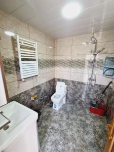 ガバラにあるLuxury AQSNのバスルーム(トイレ、シャワー、シンク付)